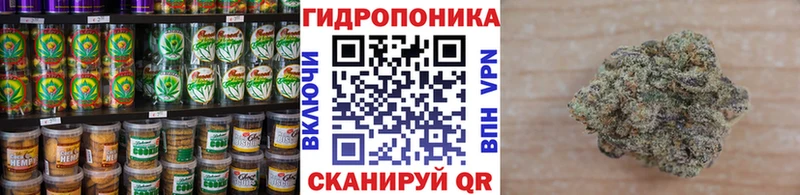 Cannafood марихуана  Купить закладки  Могоча 
