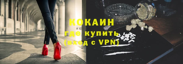 хмурый Аркадак