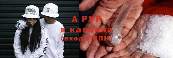 хмурый Аркадак