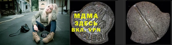 хмурый Аркадак