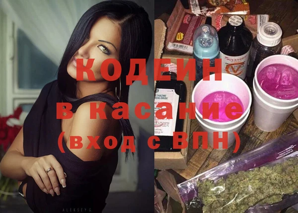 хмурый Аркадак