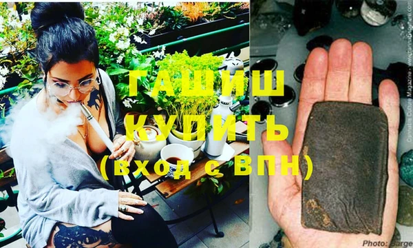 хмурый Аркадак