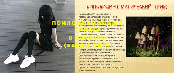 индика Алексеевка