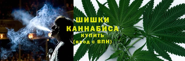 хмурый Аркадак
