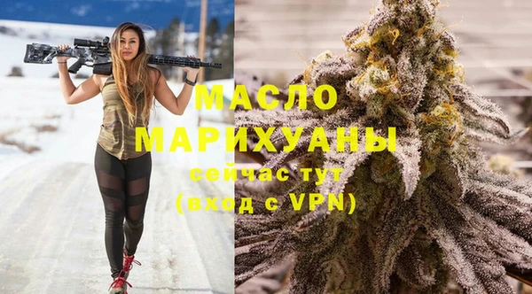 хмурый Аркадак